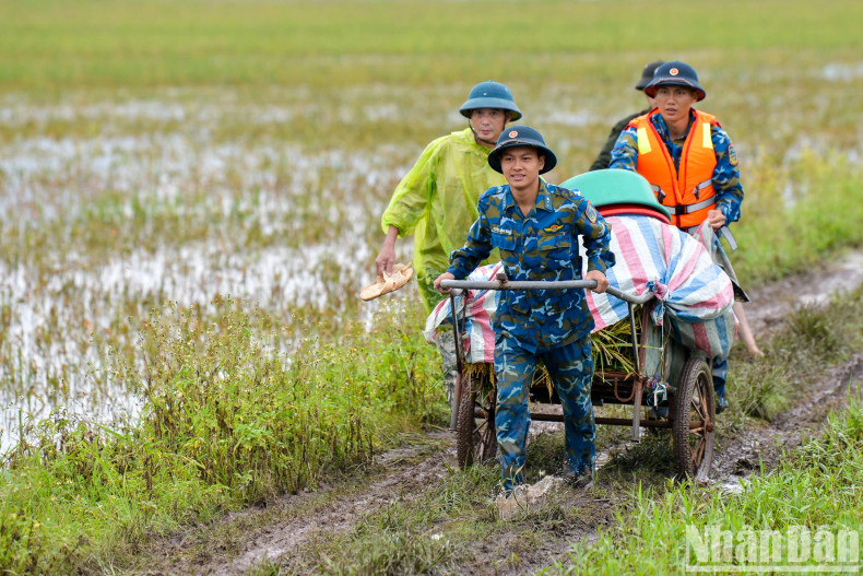 防空空军战士将每一辆承载大米的车拉上岸。