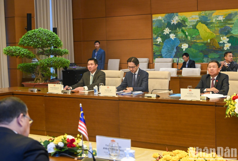 越南代表团出席会谈。