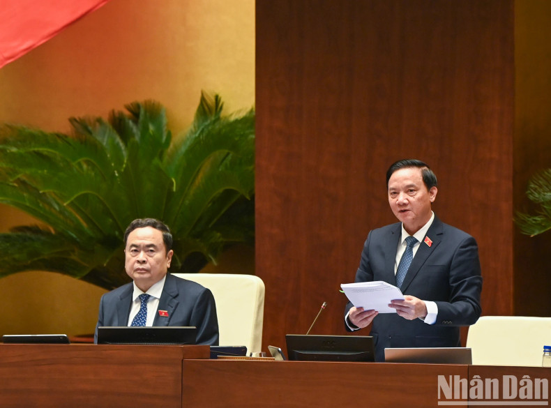 国会副主席阮克定发表讲话。