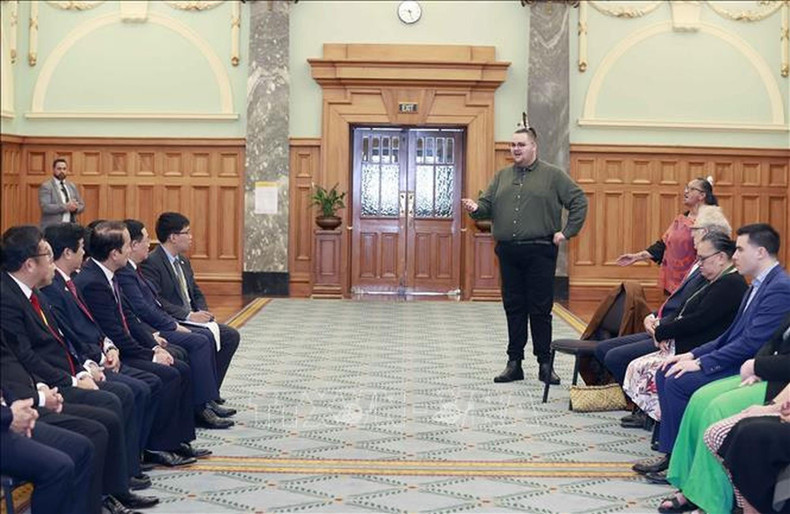 越南国会主席王廷惠出席新西兰方面为他举行的毛利族传统欢迎仪式。 越南国会主席王廷惠出席新西兰方面为他举行的毛利族传统欢迎仪式。