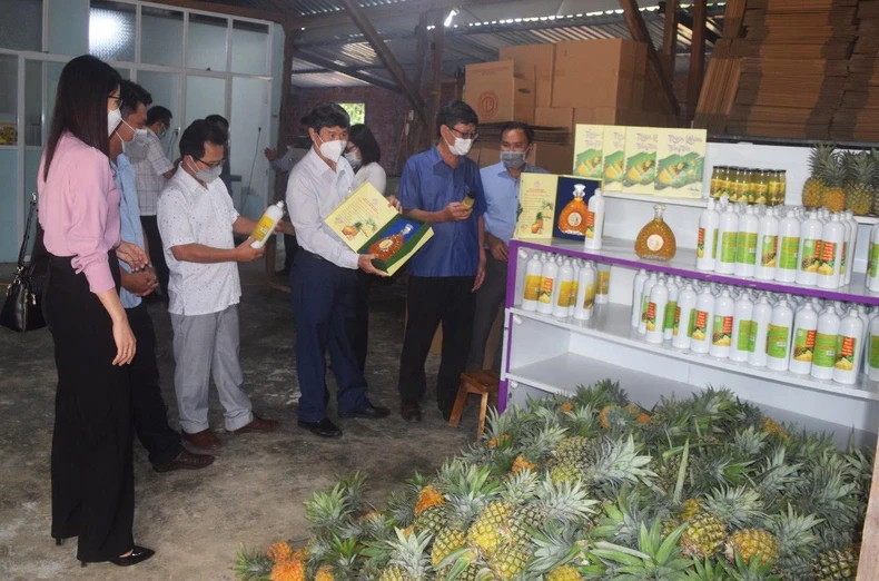 消费者了解富安省富和县OCOP产品。 消费者了解富安省富和县OCOP产品。