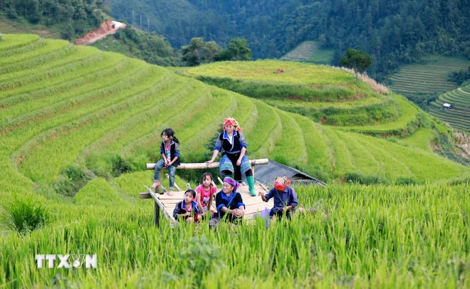 木江界之美。(图片来源:越通社) 木江界之美。(图片来源:越通社)