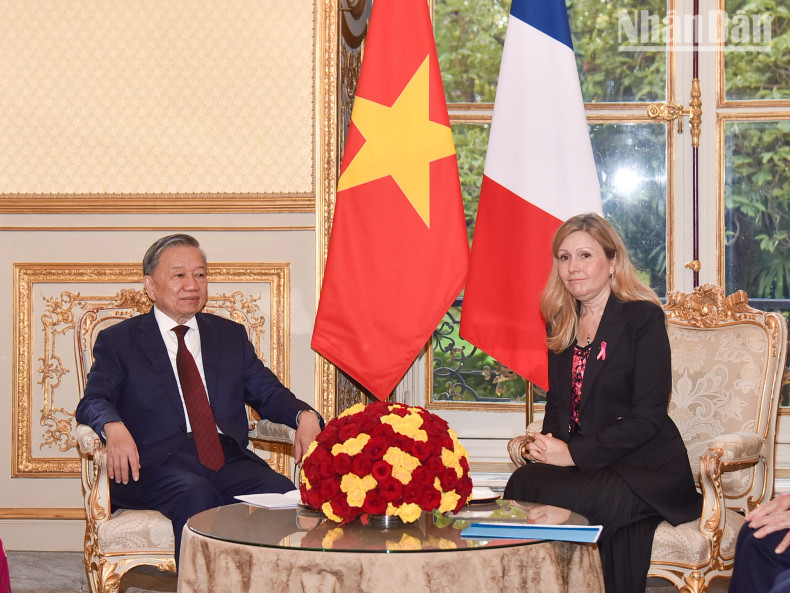 越共中央总书记、国家主席苏林会见法国国民议会议长娅埃尔·布朗·皮韦。 越共中央总书记、国家主席苏林会见法国国民议会议长娅埃尔·布朗·皮韦。