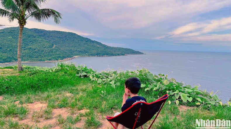 山茶半岛之美。 山茶半岛之美。
