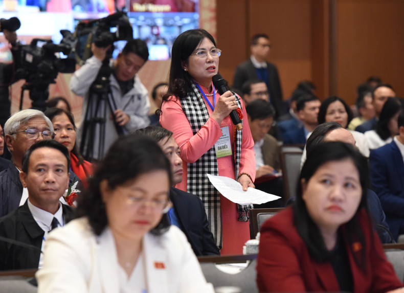 海防市代表发表讲话。