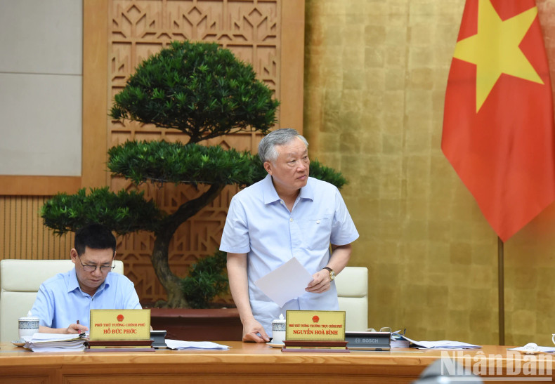 政府常务副总理阮和平在会上发表讲话。