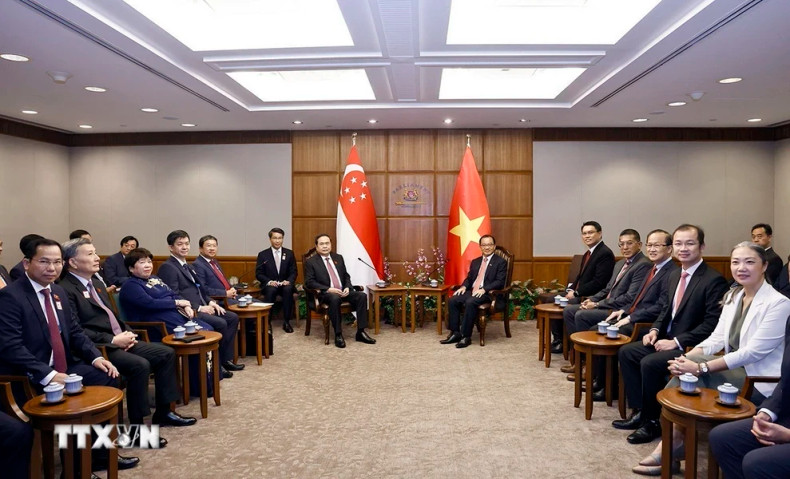 越南国会主席陈青敏同新加坡国会议长谢健平举行会谈。