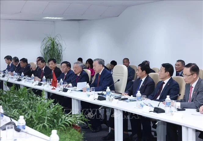 越共中央总书记、国家主席苏林在会见时发表讲话。（图片来源：越通社）