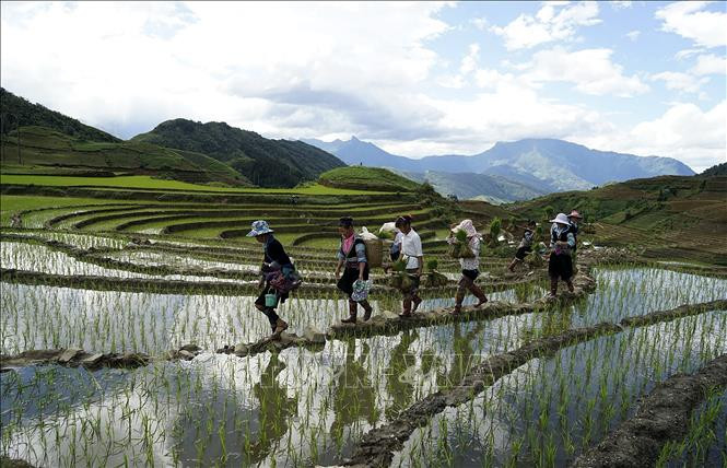 在沙巴徒步。 在沙巴徒步。