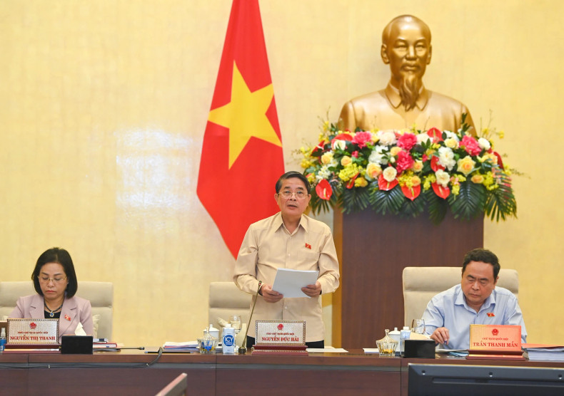 国会副主席阮德海指引会议。