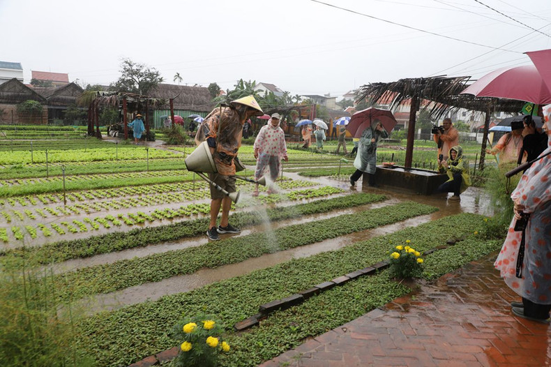 国际友人冒着雨体验茶桂蔬菜村。（图片来源：TITC）