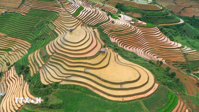 木江界之美。(图片来源:越通社) 木江界之美。(图片来源:越通社)