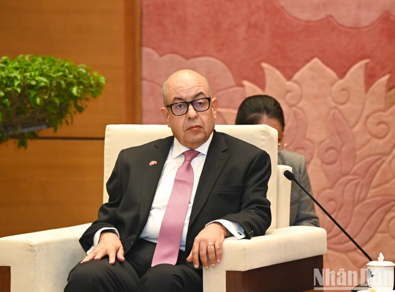 摩洛哥众议院秘书长纳吉布·哈迪在会上发表讲话。 摩洛哥众议院秘书长纳吉布·哈迪在会上发表讲话。