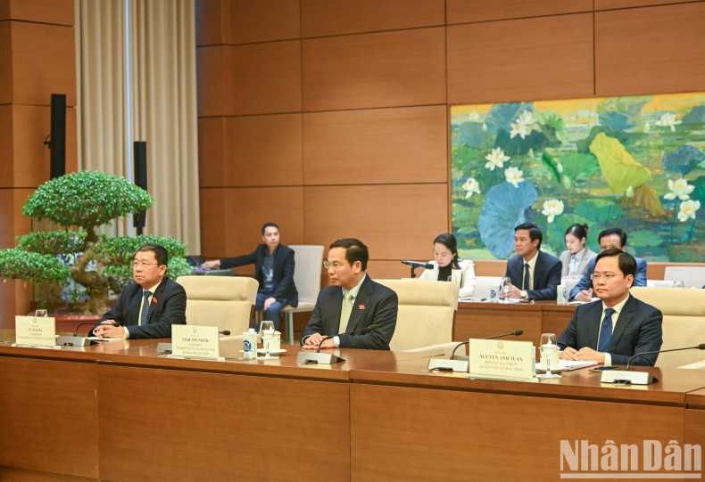 国会各委员会领导和北宁省领导一同出席。