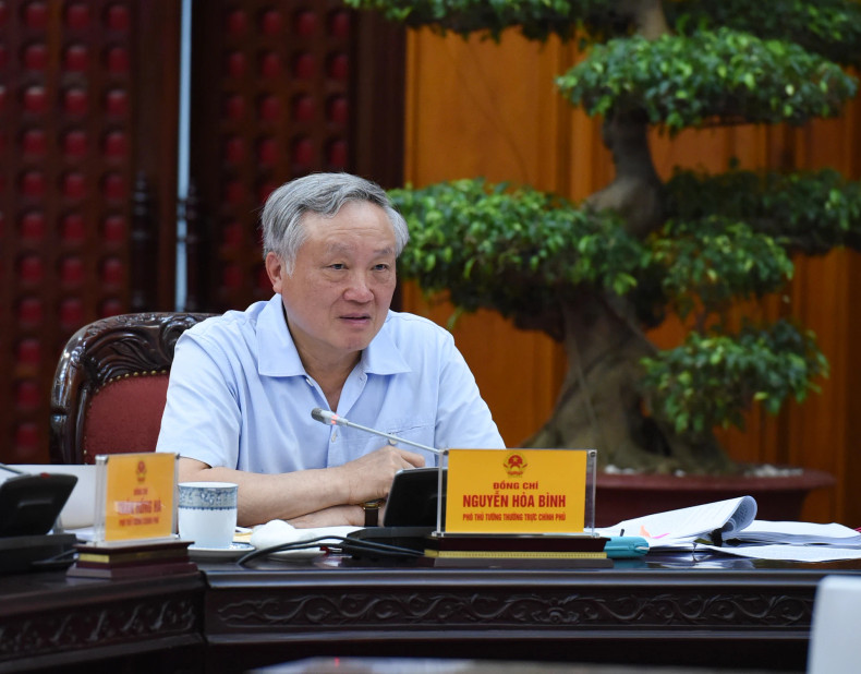 越南政府常务副总理阮和平在会上发表讲话。