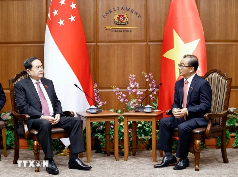 越南国会主席陈青敏和新加坡国会议长谢健平。