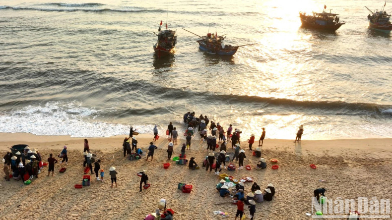 清晨,仁泽鱼市就在海浪脚下开市,新鲜的海鲜从这里立即运往省内各市场,赶上每天的早市。 清晨,仁泽鱼市就在海浪脚下开市,新鲜的海鲜从这里立即运往省内各市场,赶上每天的早市。