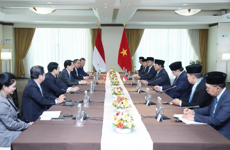 越南国家主席梁强会见印度尼西亚总统拉博沃·苏比安托。（图片来源：越通社）