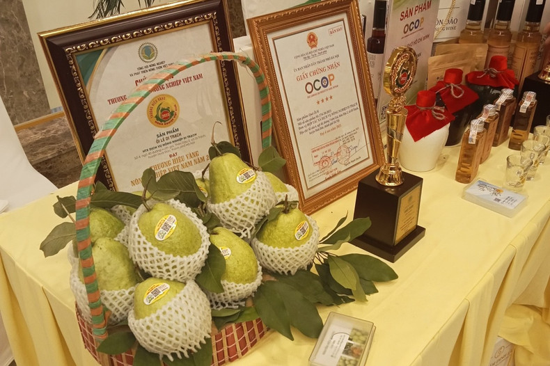 遗泽番石榴。 遗泽番石榴。