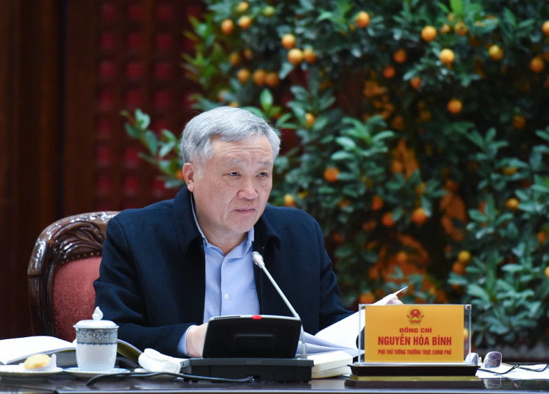 政府常务副总理阮和平在会上发表讲话。