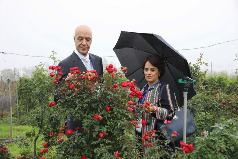 各国驻越南大使及其夫人和夫君、外交官、国际组织、外国非政府组织等代表一同参观迷灵花村。