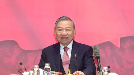 苏林总书记会见出席越共十四大的越南驻外大使和驻外机构首席代表