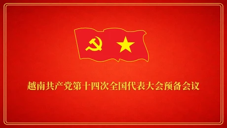 越南共产党第十四次全国代表大会预备会议【图表新闻】