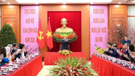 越共中央总书记苏林会见“2026年家乡之春”活动的侨胞代表团。（登科 摄）