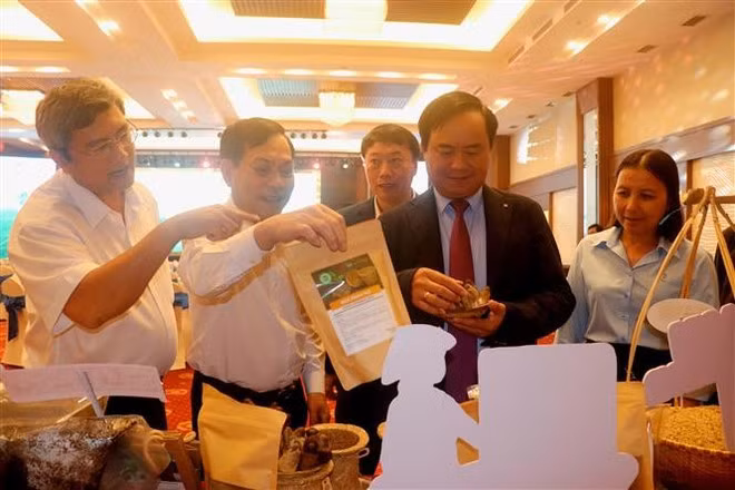 农业与环境部领导参观芹苴市循环农产品。（图片来源：越通社）