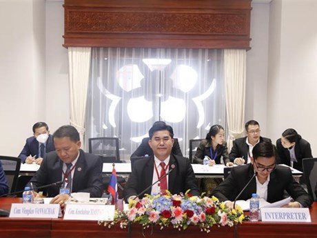越老建交60周年：加强越南和老挝国会年轻代表的交流与合作 