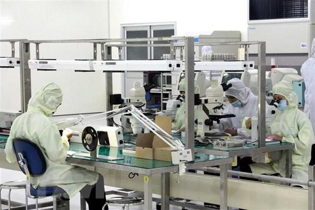 平阳VSIP II工业区电子零件生产厂。