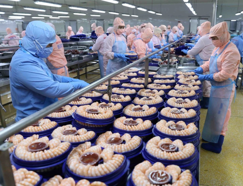 附图：虾类加工。