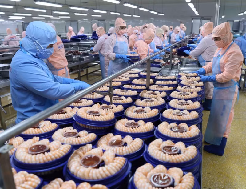 附图：虾类加工。