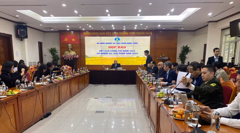 新闻发布会场景。