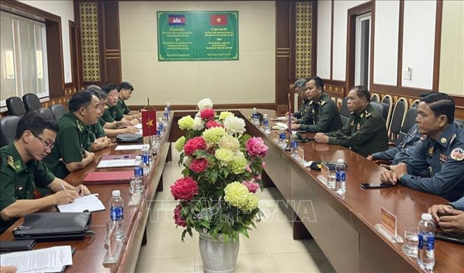 座谈会场景。（图片来源：越通社）