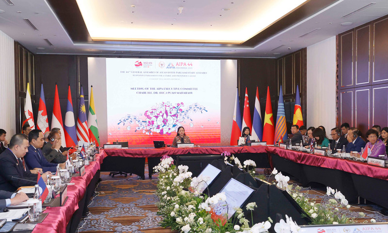 AIPA执行委员会会议场景。