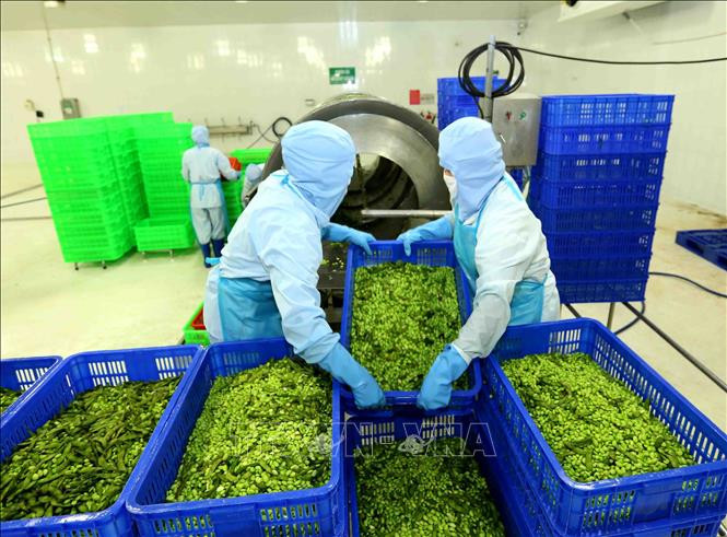 附图：农产品加工。