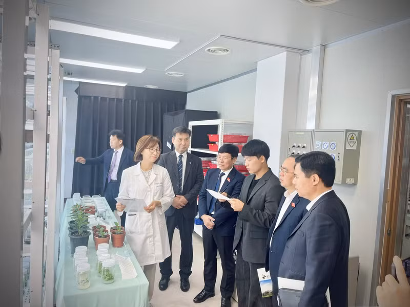 永福省人民委员会主席黎维成一行参观忠清北道农业研究院。