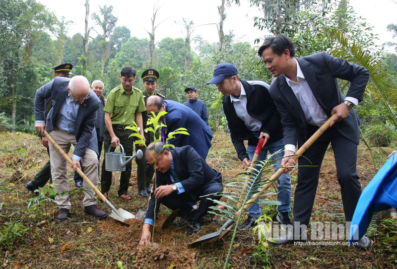 各位代表已在菊芳博物馆周边种植106棵树。（图片来源：宁平报）
