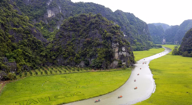 “鲤鱼望月”巨幅稻田画引四面八方游客前来观赏。