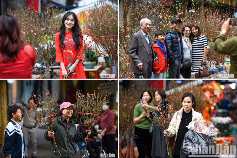 来到梳街春节花卉市场时人们常常喜欢购买日新桃花和四连金桔。