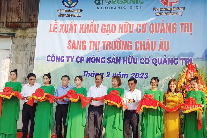 越南广治省向欧洲出口首批有机大米。