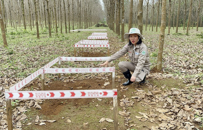 阮氏妙玲女士。
