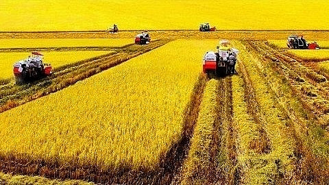 附图：促进九龙江三角洲地区可持续发展。