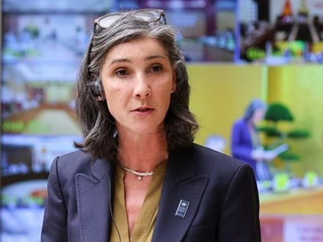 联合国开发计划署驻越南首席代表拉姆拉·阿勒哈利迪。（图片来源：越通社）