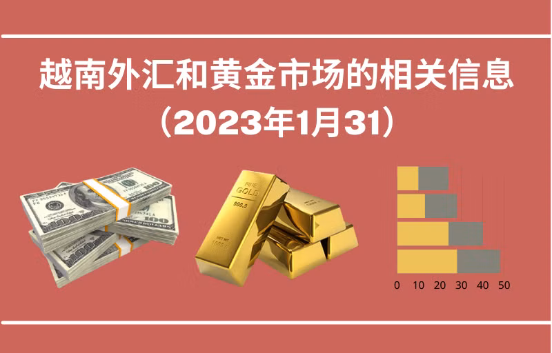 越南外汇和黄金市场的相关信息【图表新闻】