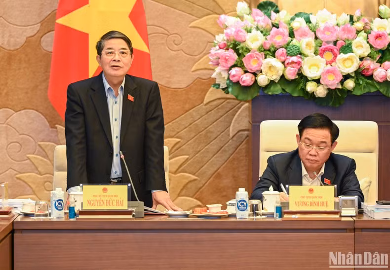 国会副主席阮德海发表讲话。