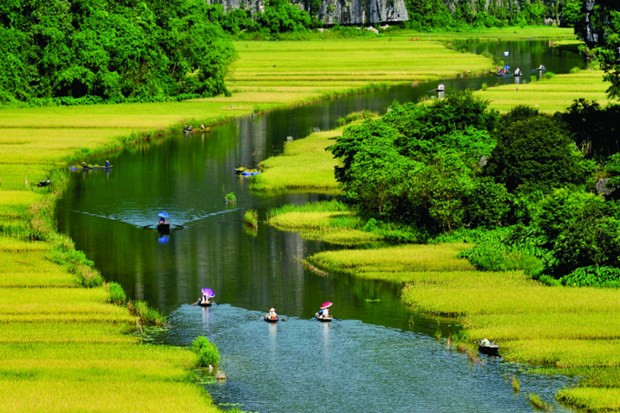 宁平省获美国《福布斯》杂志评选为2023年23个最佳旅游目的地之一。（图片来源：越通社）