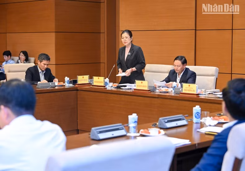 越南祖国阵线中央委员会副主席张氏玉映在会上作报告。