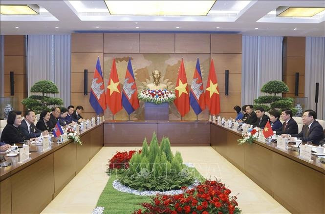 越南国会主席王廷惠同柬埔寨王国国会主席昆索达莉举行会谈。（图片来源：越通社）